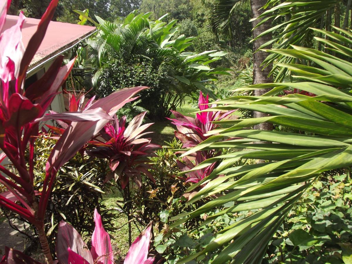 Les Jardins De L'Esperance Villa Bouillante Exterior foto